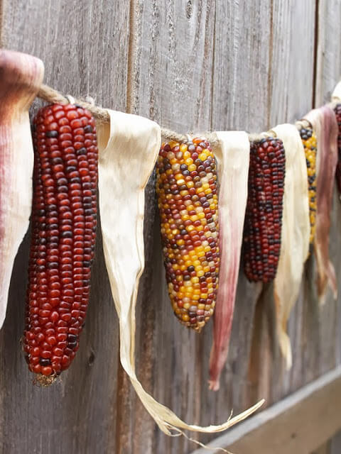 Ornamental corn affixed to a rope to create a fall banner to hang