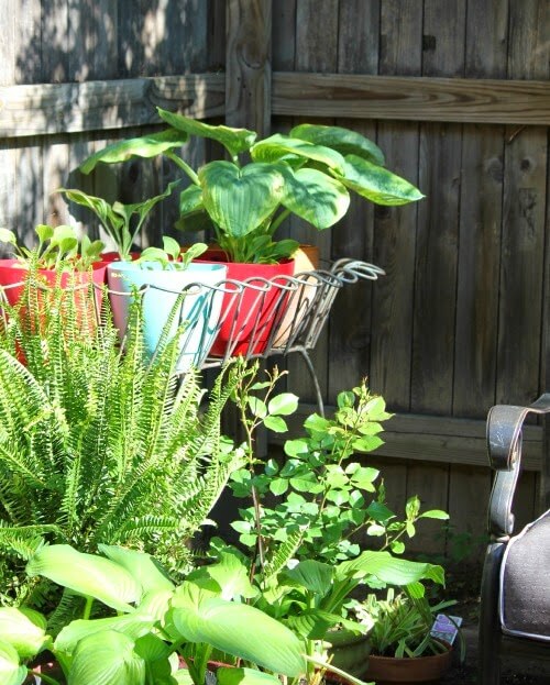 In creating an outdoor focal point, I used a vintage garden stand to bring container plants to different heights.