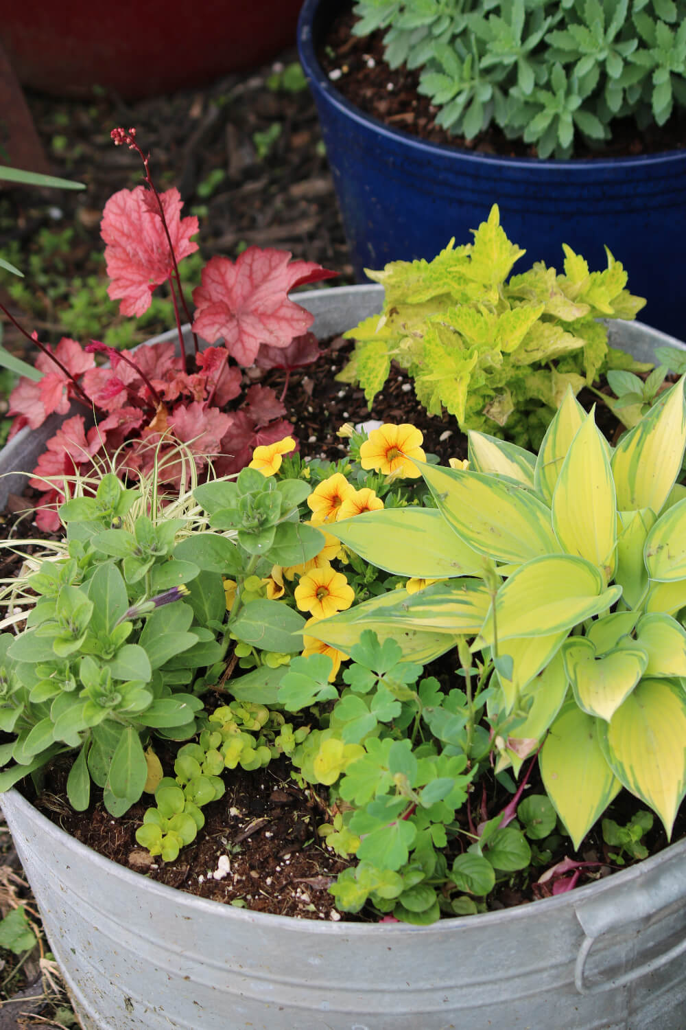 Round containers are perfect for planting various plants that have the same water needs and exposure.