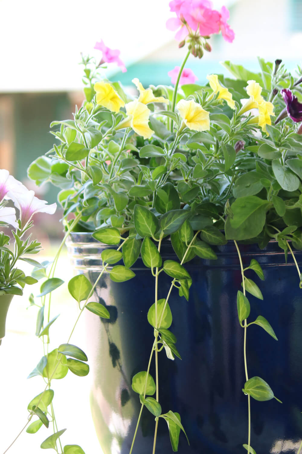 Plant attractive plants and flowers and don't forget to get some that trail down.