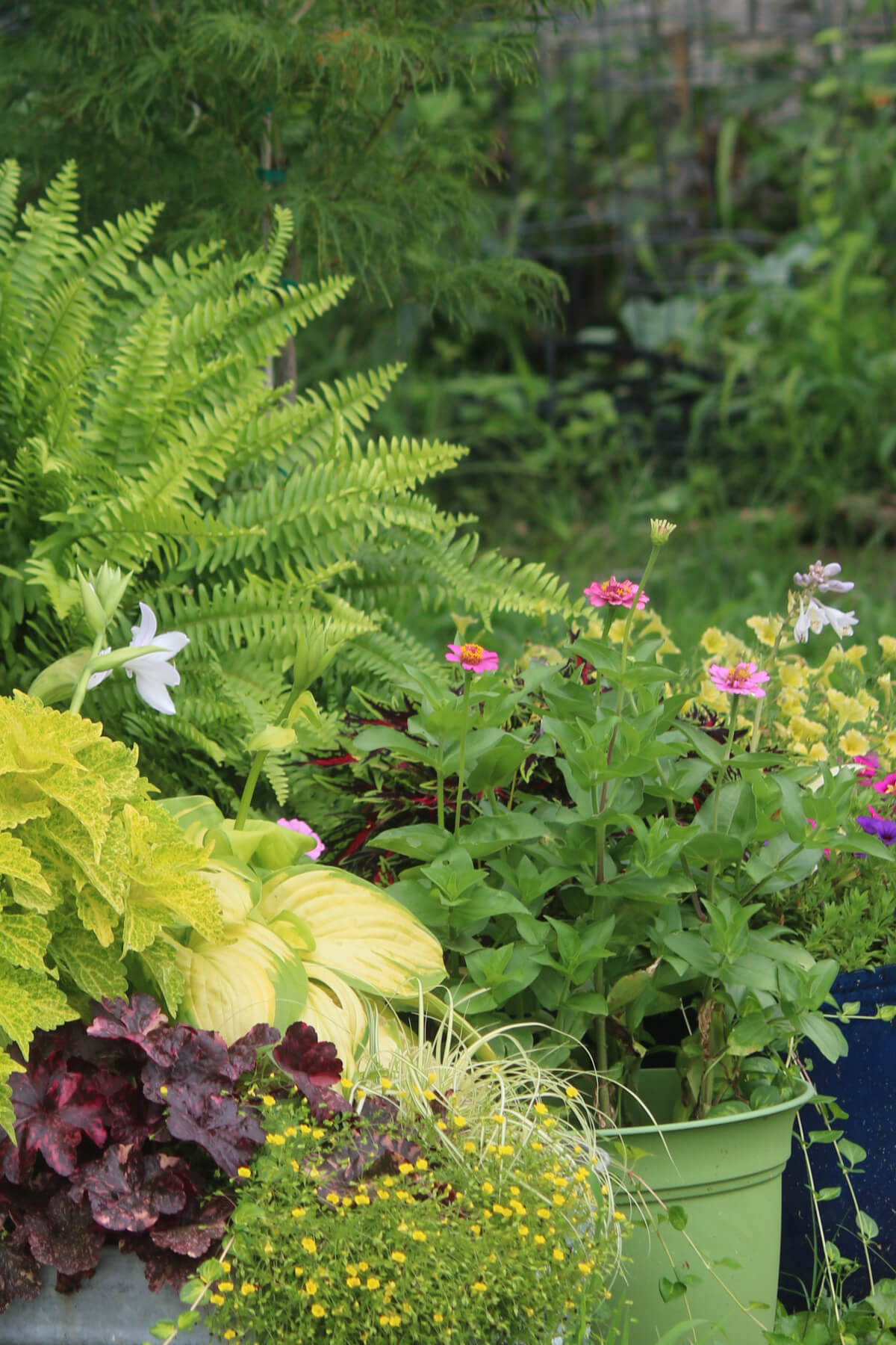 Gardening on a patio or balcony can bring joy to your home.