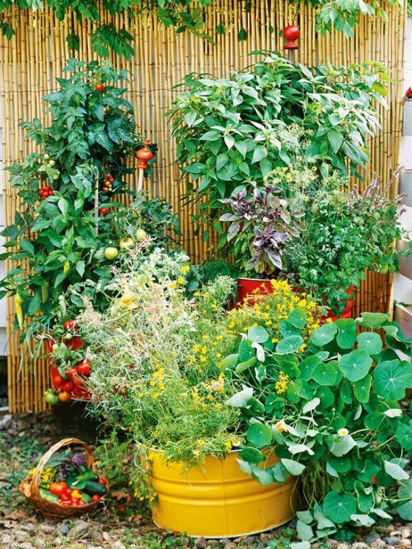 gardening for small space dwellers · cozy little house