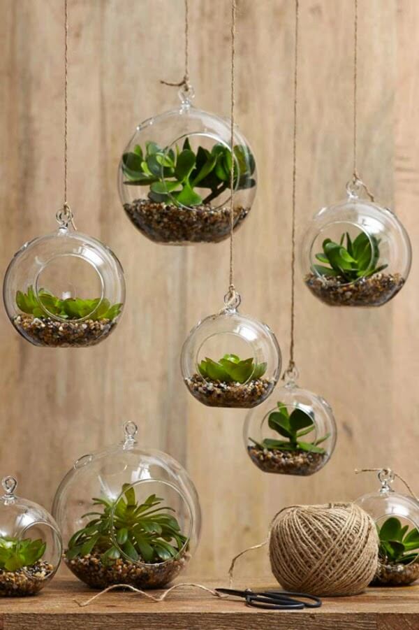 Ten Fun Terrariums To Make · Cozy Little House