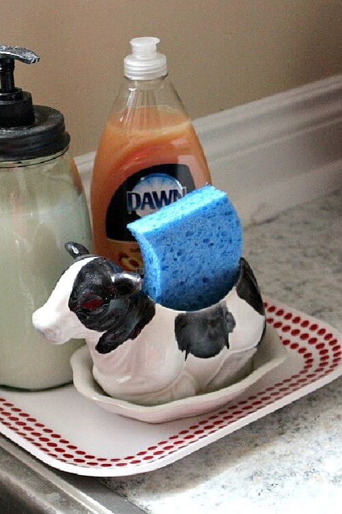 Apartment kitchen #3 has a cow planted I use to hold my kitchen sponge.