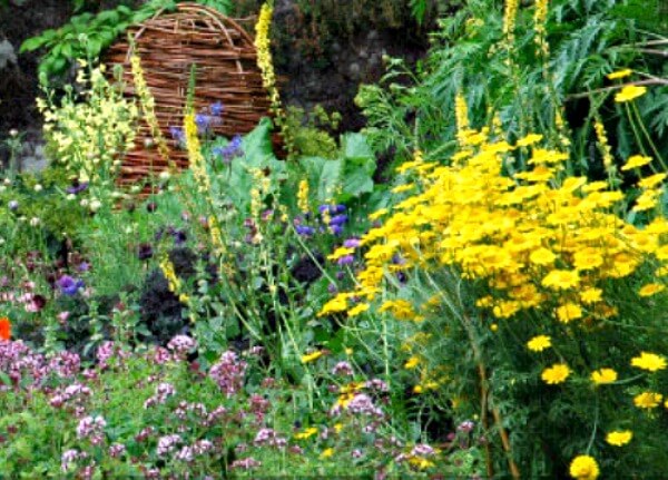 5 Tips For All Natural Gardening