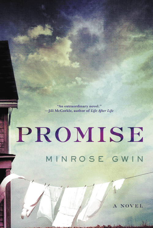 Book Review: Promise