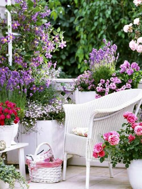 How To Grow Roses In Containers