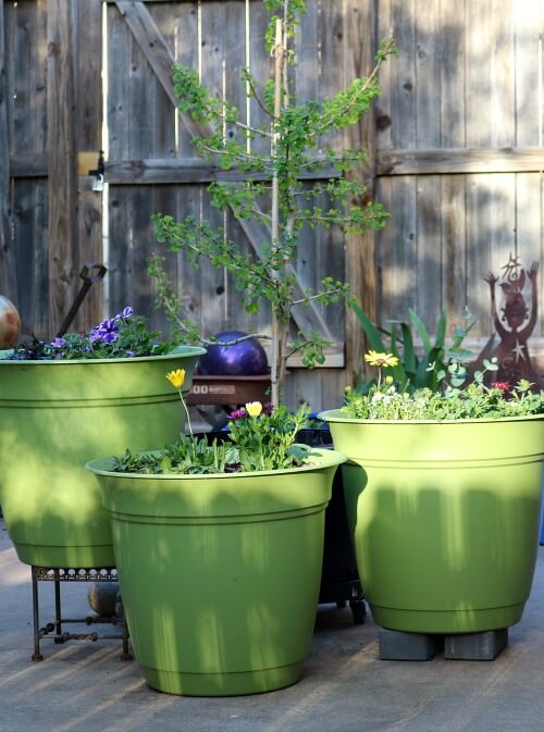 green pots