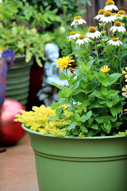 Creating a bee and butterfly water source will be easier near colors and flowers/plants they are attracted to.