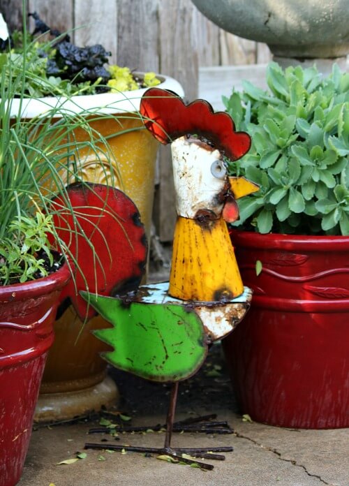 Rusty the rooster metal chicken next to container plants