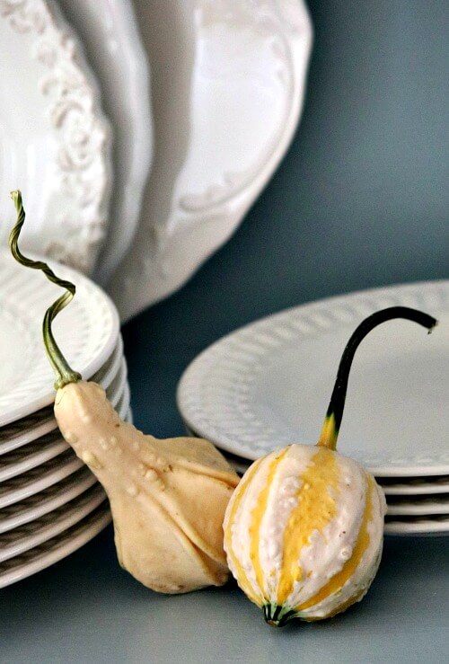 Fall gourds with white dishes