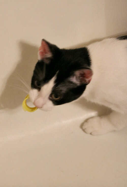 Ivy in the bathtub with her toy