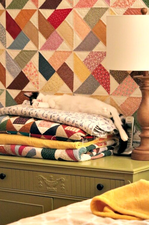 Ivy asleep on quilt stack
