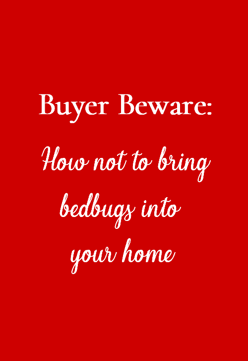 How Not To Bring Bed Bugs Into Your Home
