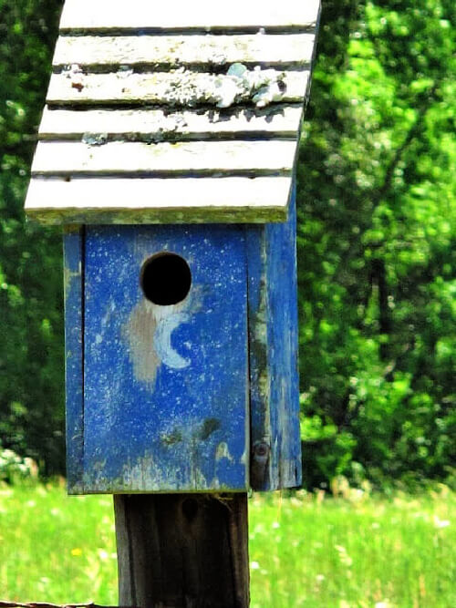 In Lessons From Melodious Birds, this is a blue birdhouse on a pole