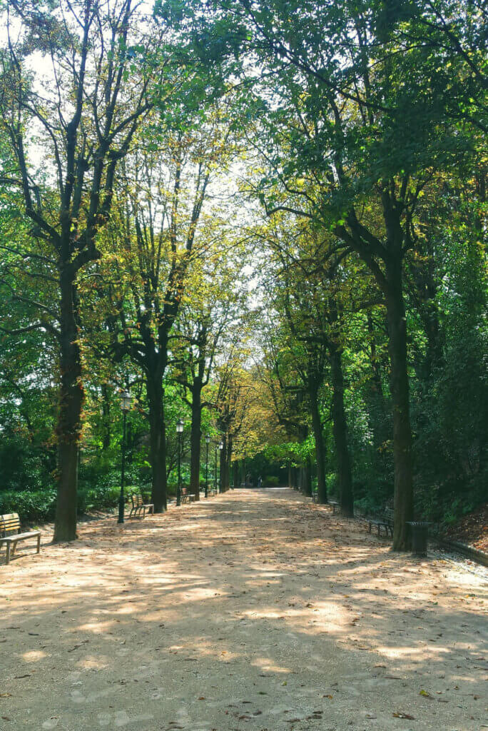 In six de-stressing techniques, there is a grouping of trees there is a road between them and benches along one side. Tall trees on either side of a dirt road in a peaceful countryside setting