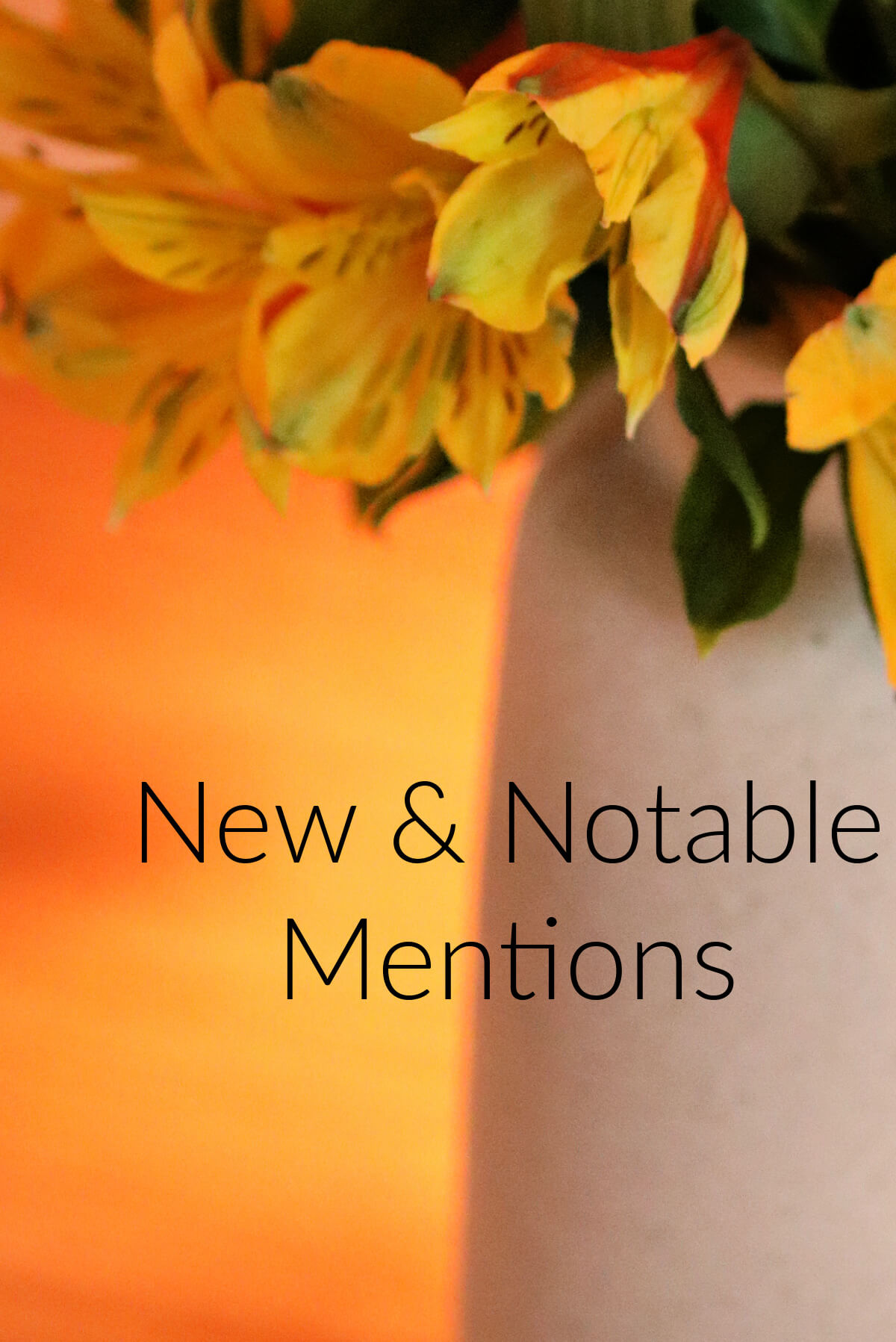 New & Notable Mentions #1