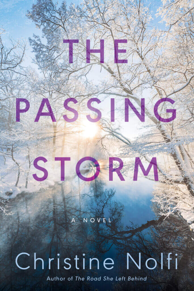 The novel The Passing Storm by Christine Nolfi