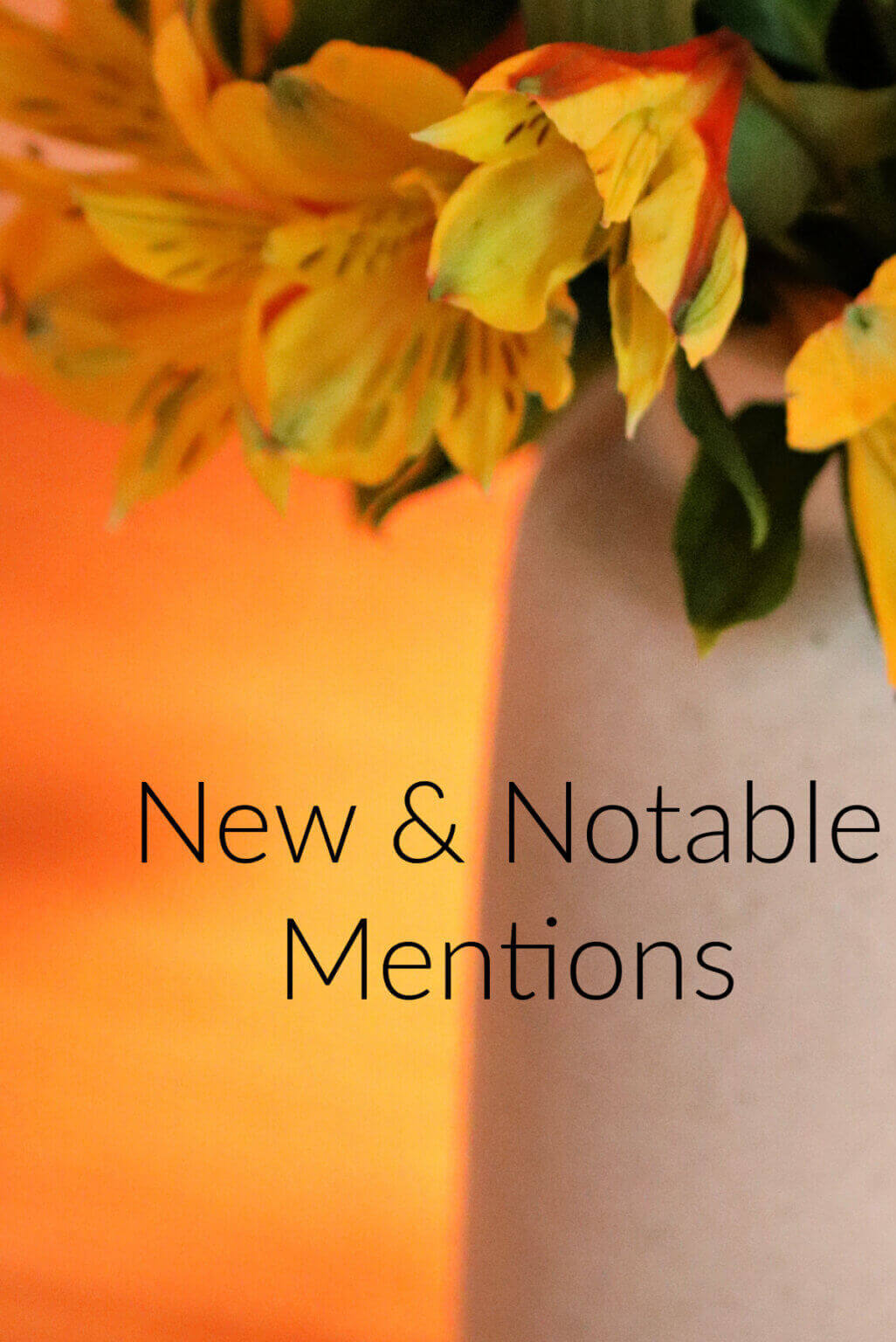 New & Notable Mentions #13