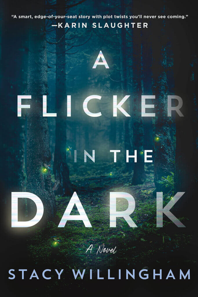 The book A Flicker In The Dark