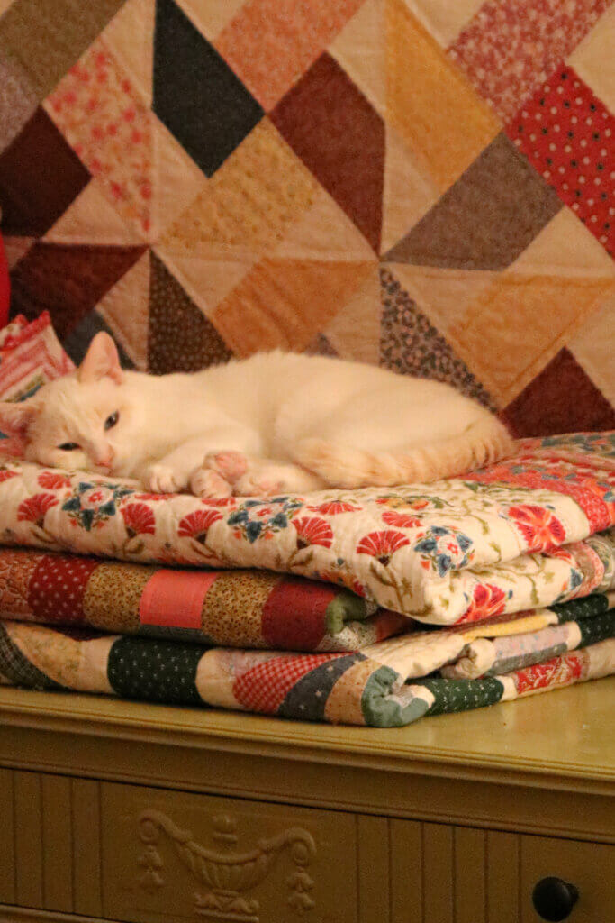 In Just 15 Days Until Christmas 2021, I show little Gracie curled up on a pile of quilts