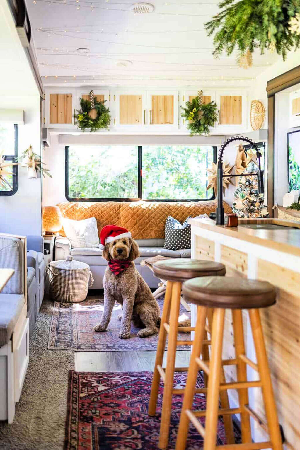 A poodle with a black and red bandana and a Santa hat in the decorated holiday RV.