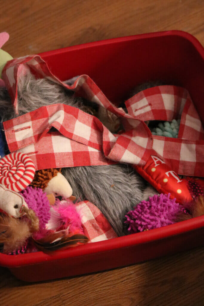 In cold weather here in Tulsa, I show the cats' box of toys