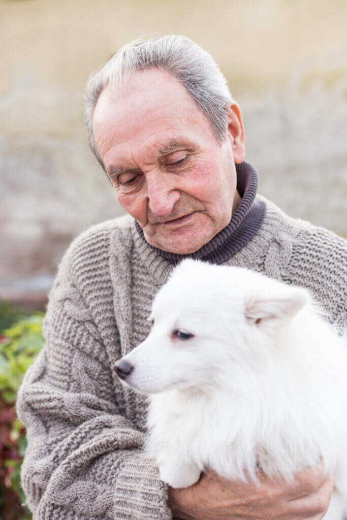 In Winter Wellness Tips For Seniors, it may help to adopt a dog