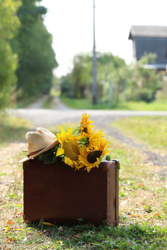 In Tuesday: 1 Day Till Moving Day, a vintage suitcase with sunflowers and a hat on top.