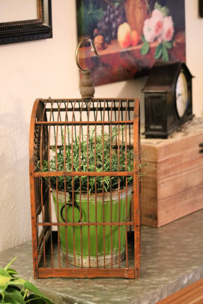 A faux green house plant underneath a wicker bird cage