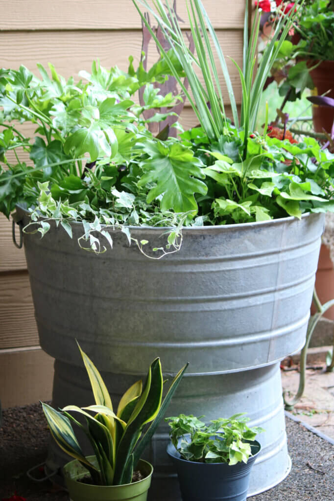 Galvanized tub with various potted plants on my patio