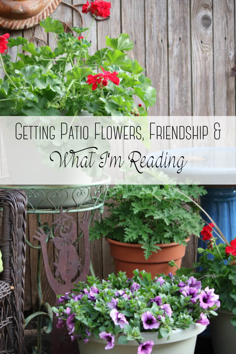 Getting Patio Flowers, Friendship & What I’m Reading