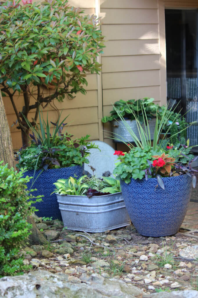 My yard with the big blue pots and galvanized tubs I've filled with flowers and plants.