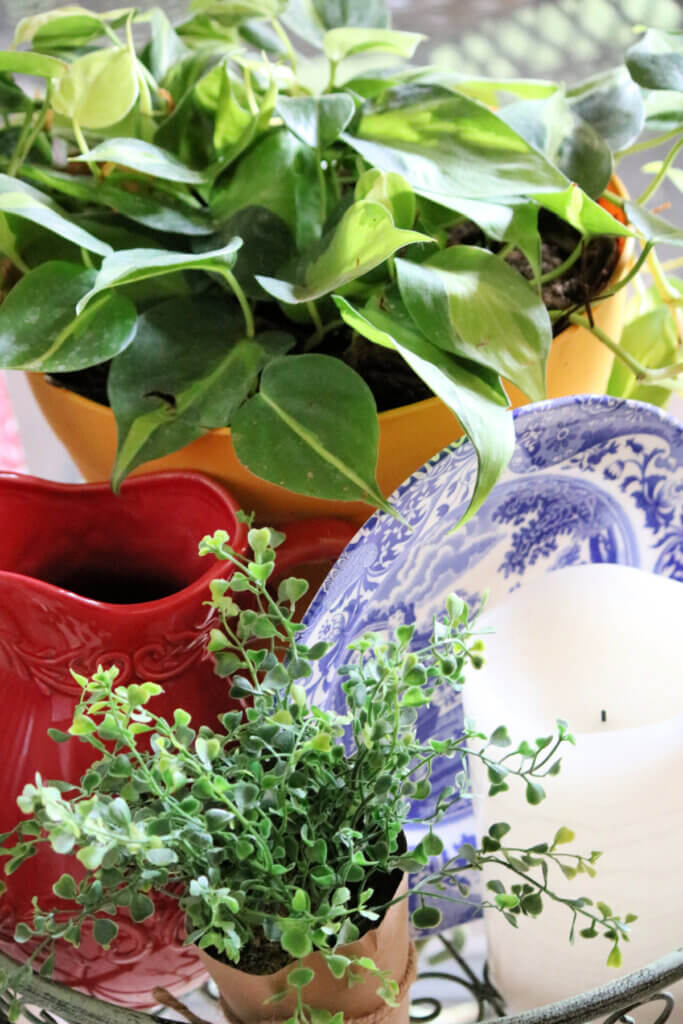 In A Patriotic Plant Stand Vignette, I used a Spode blue Italian luncheon plate for blue decor.