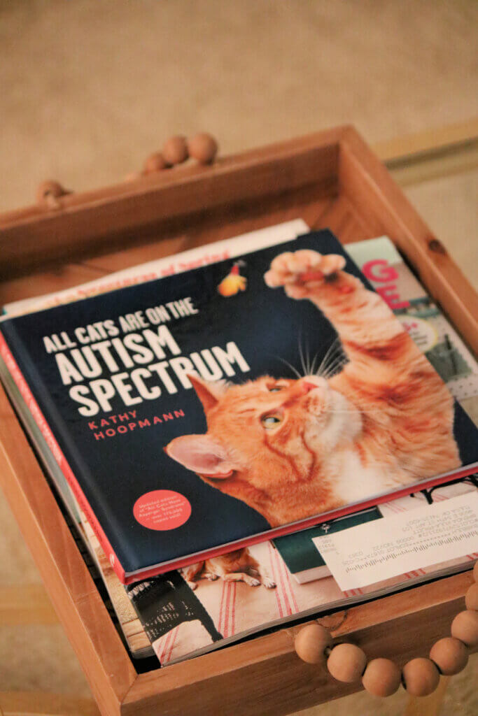 This book, All Cat Are On The Autism Spectrum