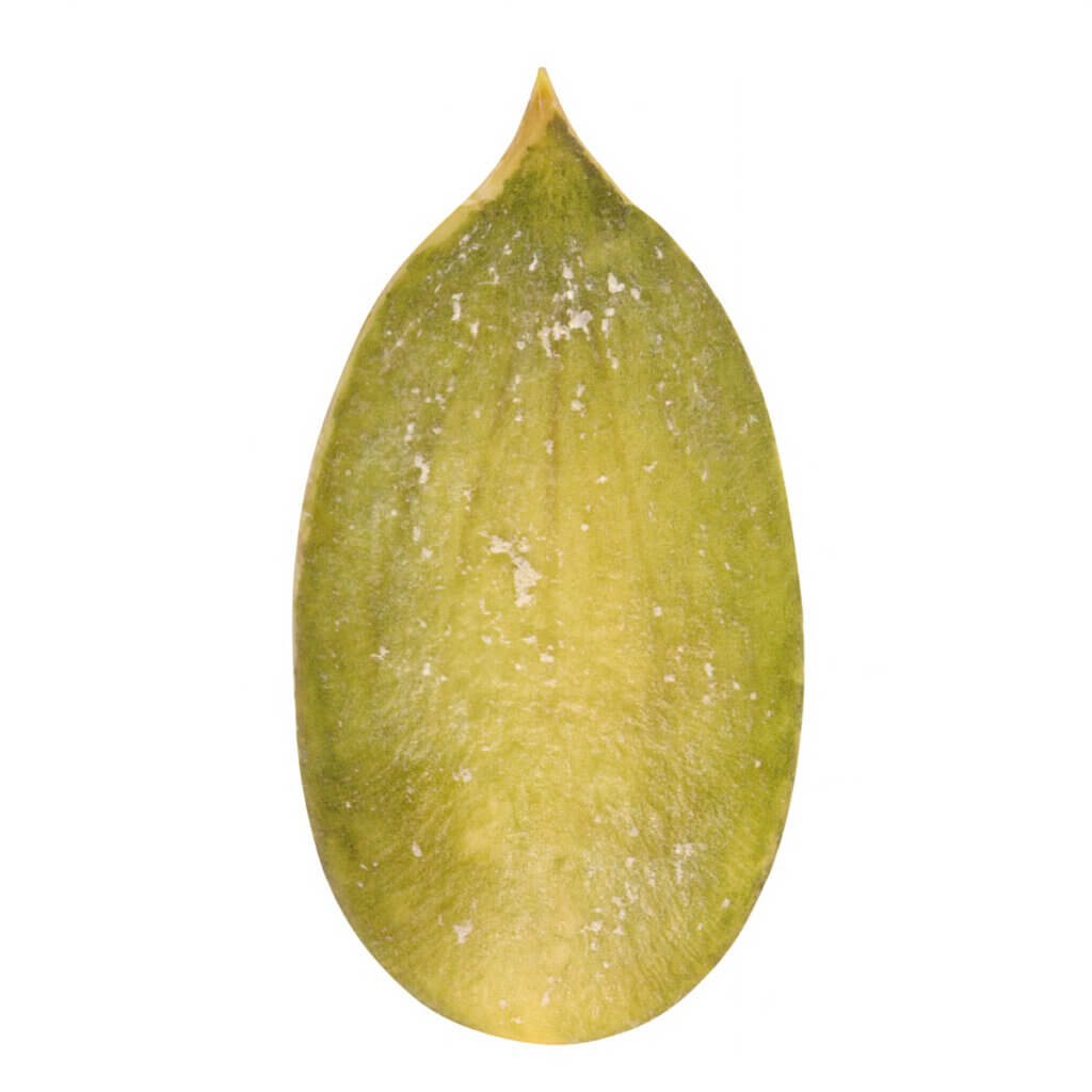 An image of a pumpkin seed