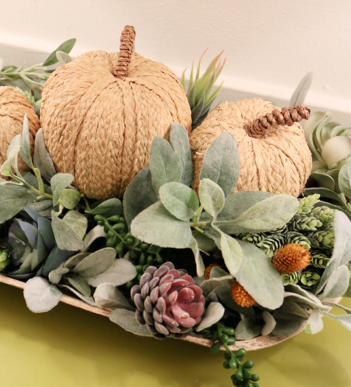 Textured pumpkins laying on a bed of succulents