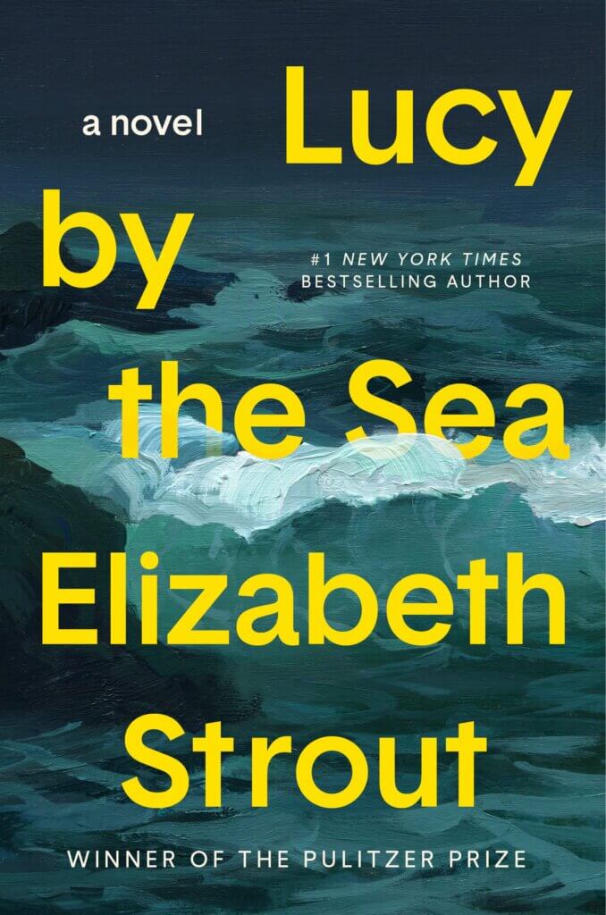 New book by Elizabeth Strout titled Lucy By The Sea, a book about living during the pandemic lockdown.