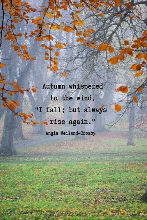 Quote about fall