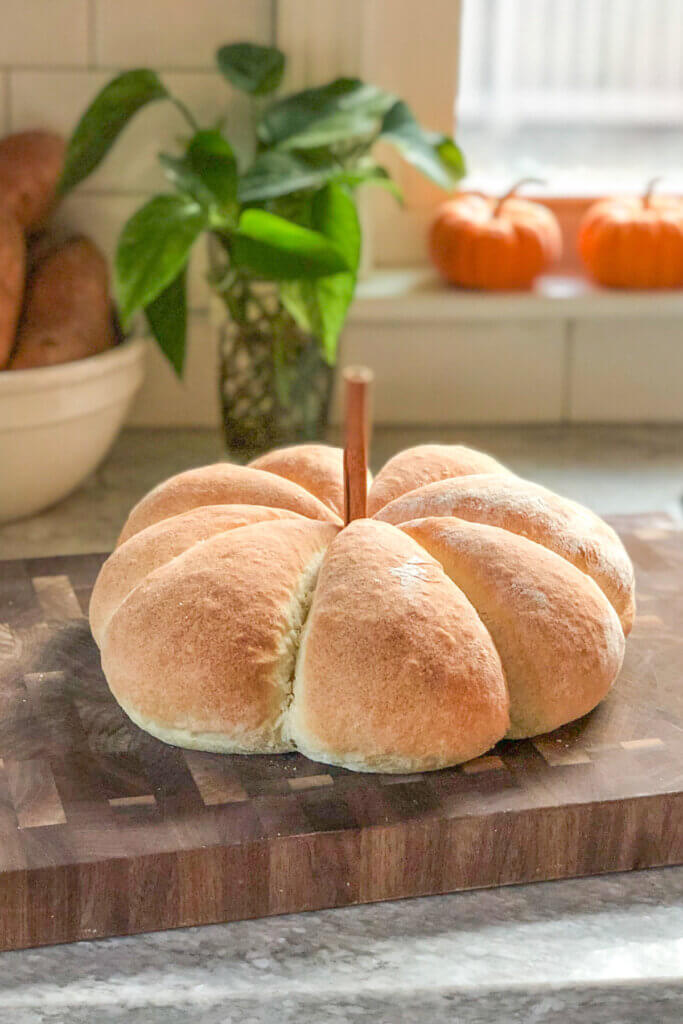 In New & Notable Mentions 10/22/22, this pumpkin shaped bread would be great for fall entertaining.