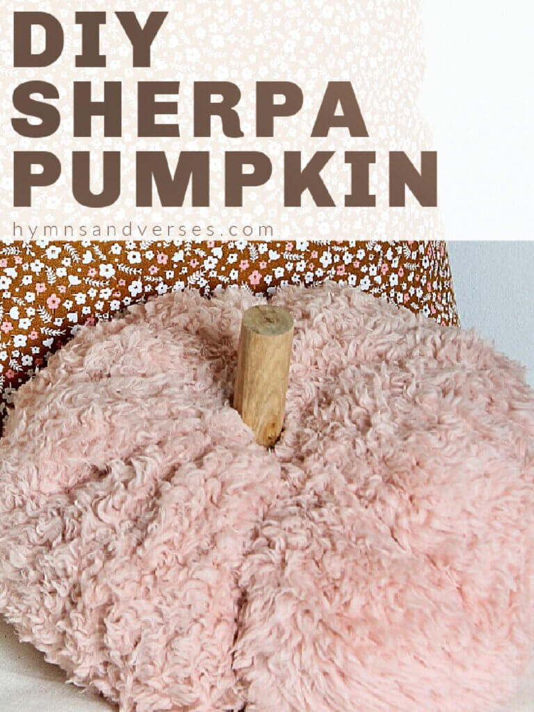 In New & Notable Mentions 10/22/22, this DIYer shows you how to make a sherpa pumpkin.