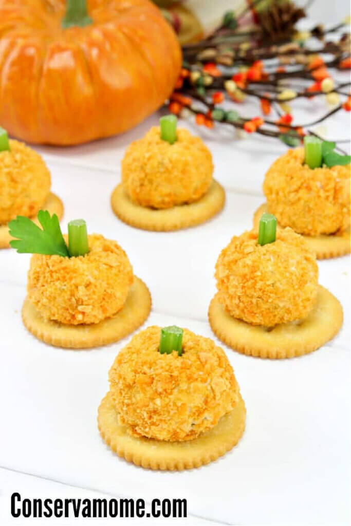 A mini cheese ball created by the blogger at Conservamome.