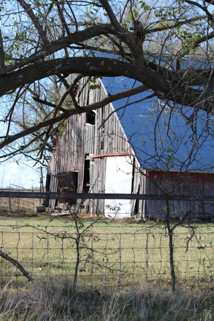An old falling down barn beyond a barbed wire fence