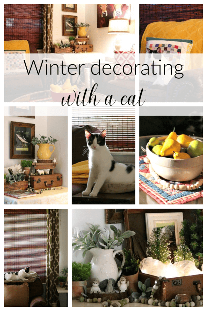 In Winter Decorating With A Cat, this is the graphic I created of the decorating images.