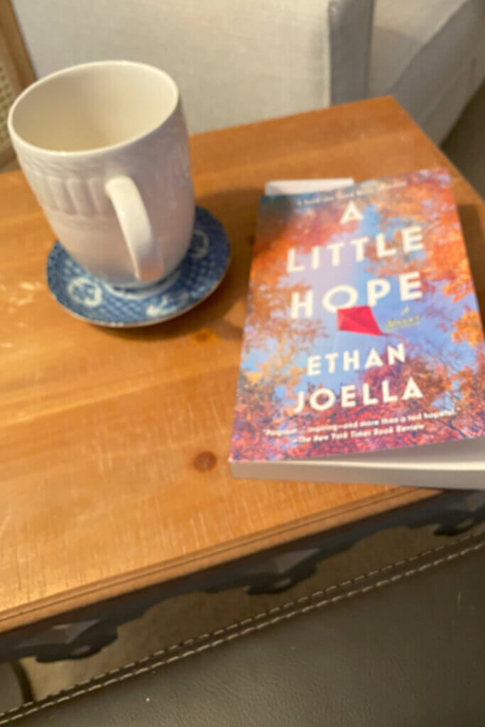 The book I'm currently reading, A Little Hope by Ethan Joella.