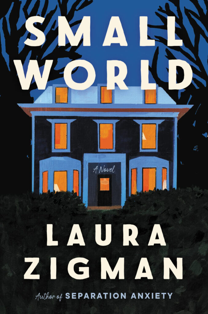 Novel called Small World by Laura Zigman