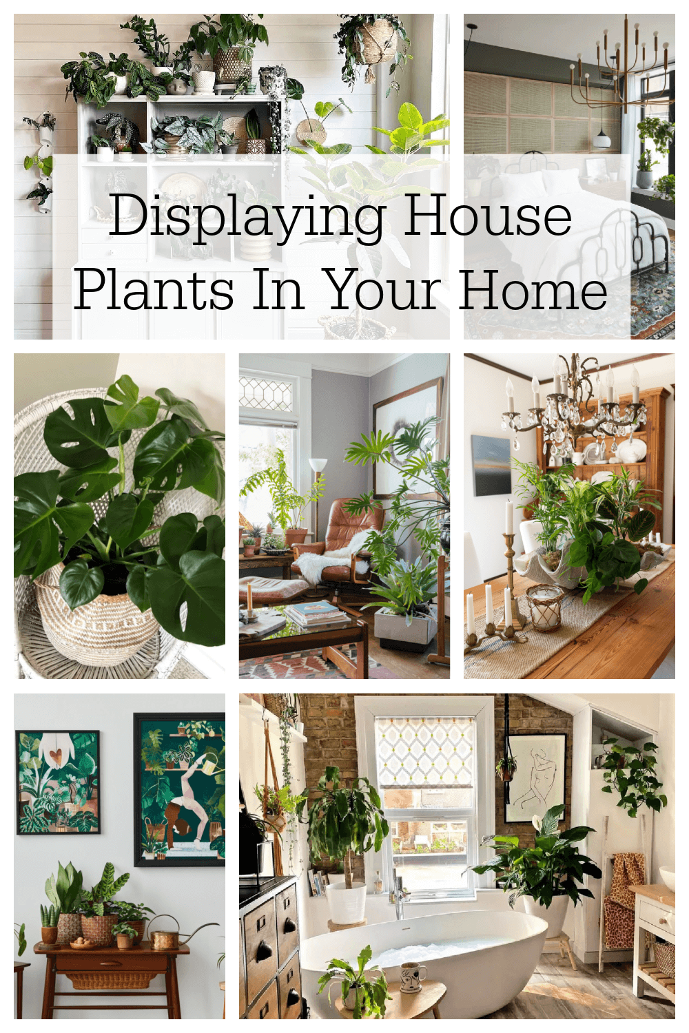 Displaying House Plants In Your Home