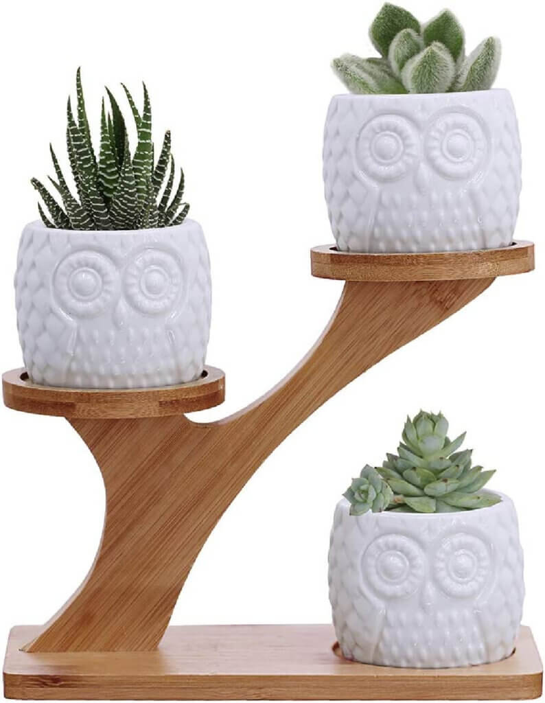 In Live House Plants At Amazon, this is a 3 piece white owl pots with succulents on a stand