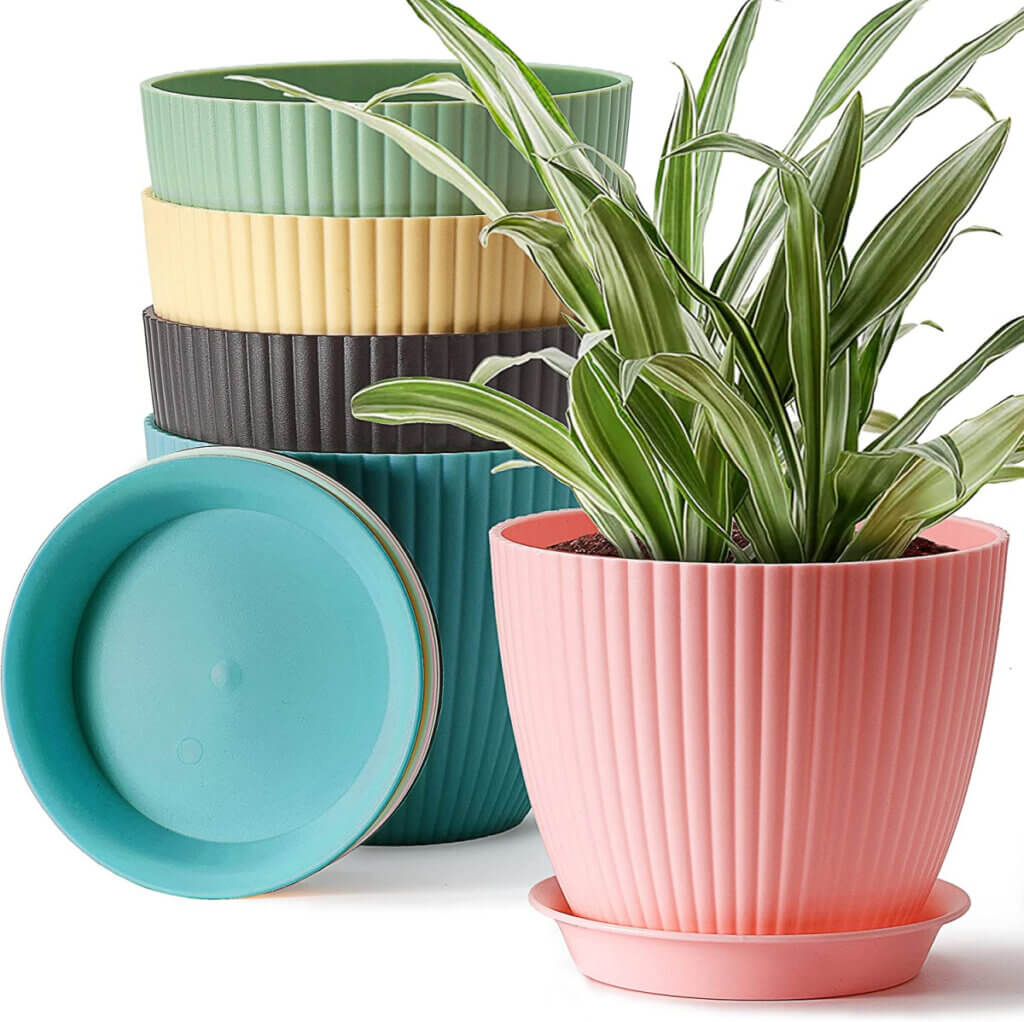 In FedEx Rescheduled The Mystery Plant Delivery, this is the set of plastic plant pots I'm planning to repot my house plants in