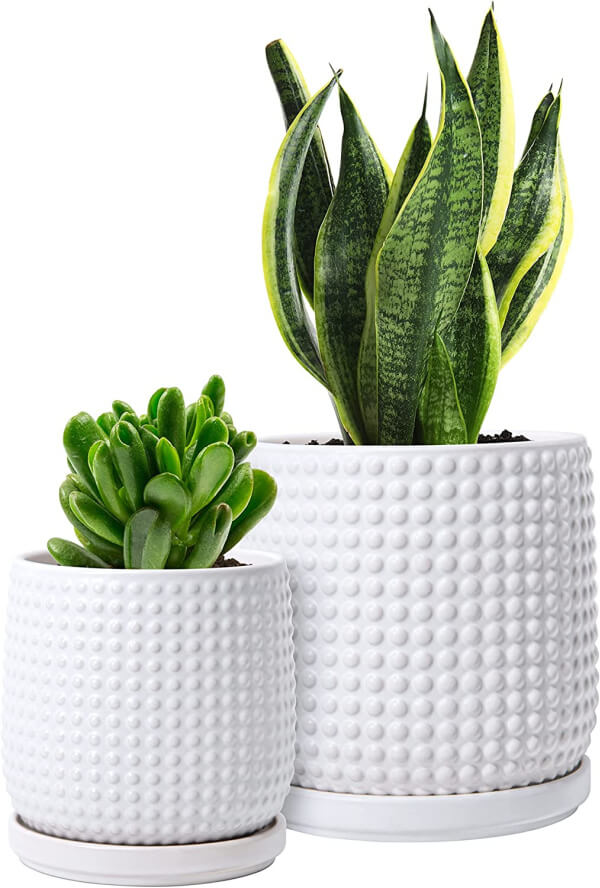 In 10 Plant Pot Choices At Amazon, this set is a white beaded set of 2 plant pots